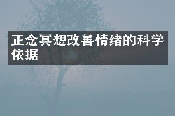 正念冥想改善情绪的科学依据