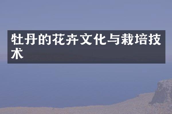 牡丹的花卉文化与栽培技术