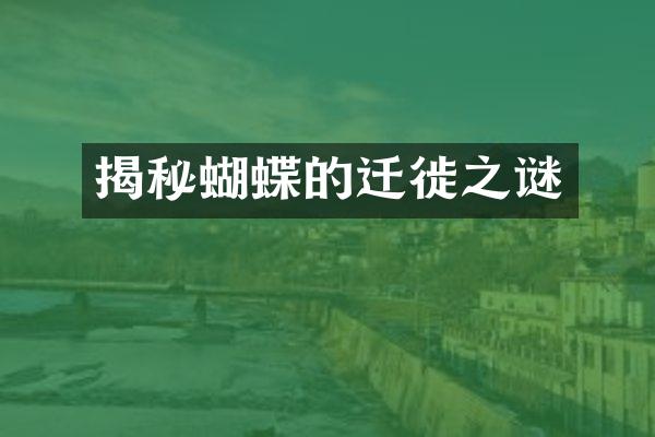 揭秘蝴蝶的迁徙之谜