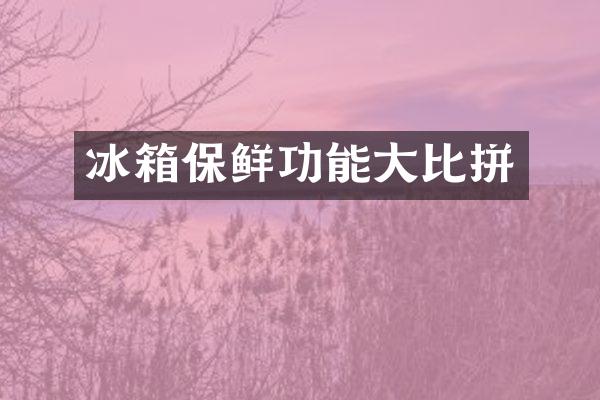 冰箱保鲜功能大比拼