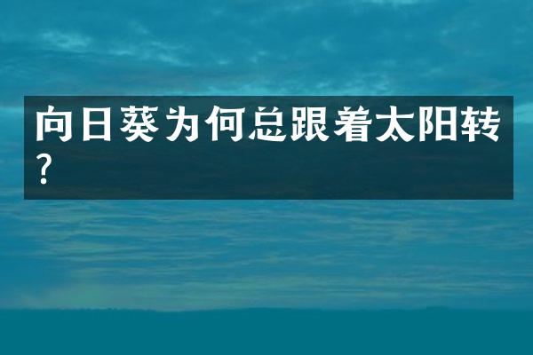 向日葵为何总跟着太阳转？
