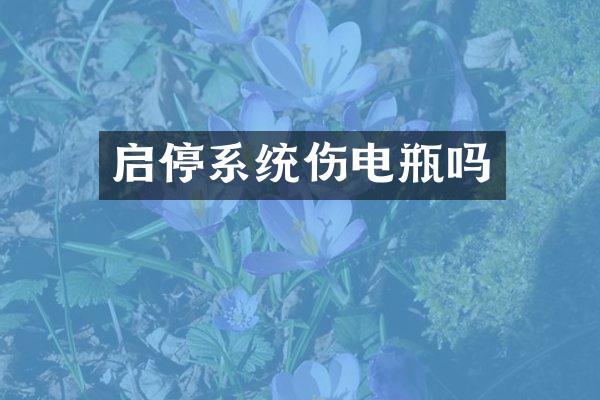 启停系统伤电瓶吗
