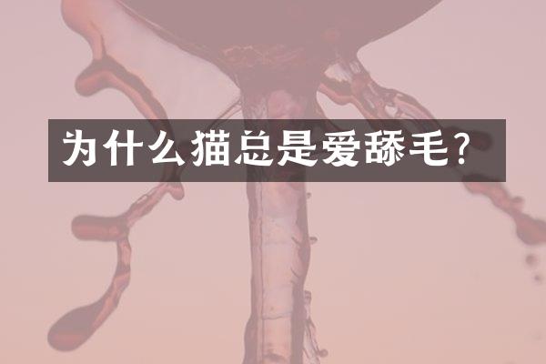 为什么猫总是爱舔毛？