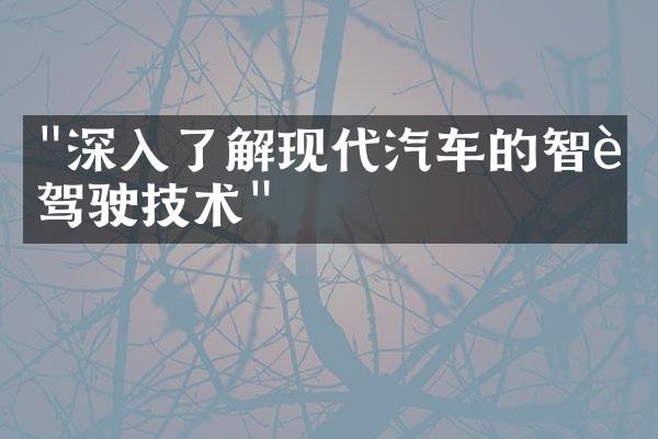 "深入了解现代汽车的智能驾驶技术"