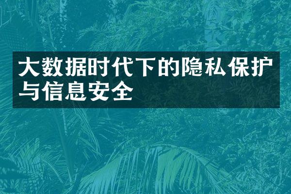 大数据时代下的隐私保护与信息安全