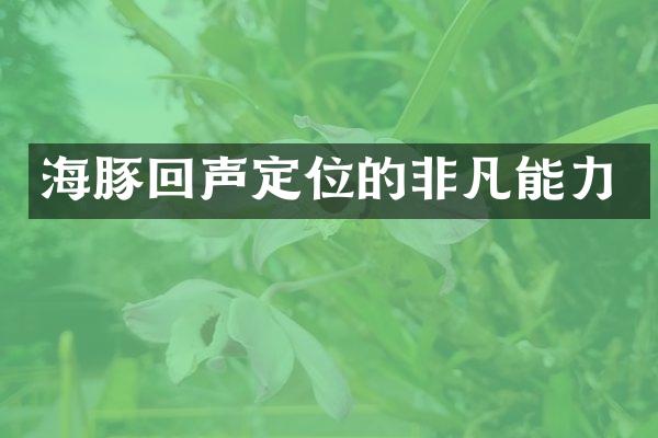 海豚回声定位的非凡能力