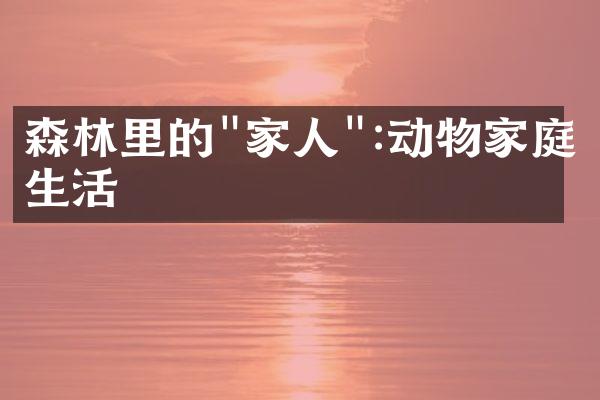 森林里的"家人":动物家庭生活