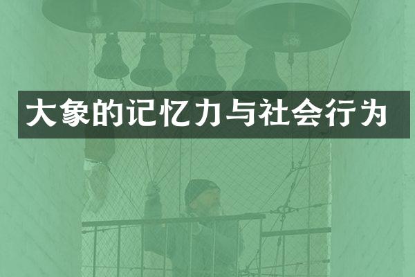 大象的记忆力与社会行为