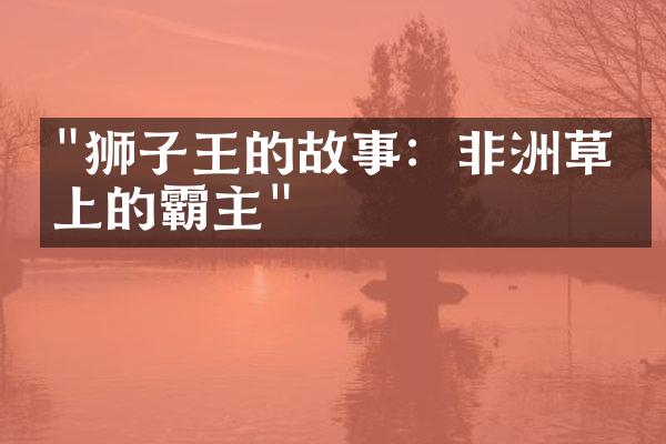 "狮子王的故事：非洲草原上的霸主"