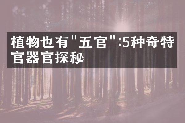 植物也有"五官":5种奇特感官器官探秘