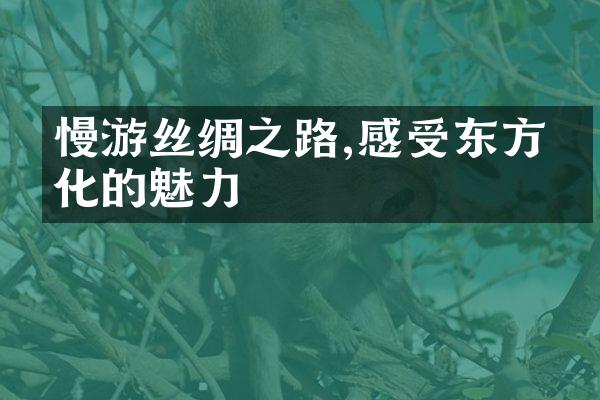 慢游丝绸之路,感受东方文化的魅力