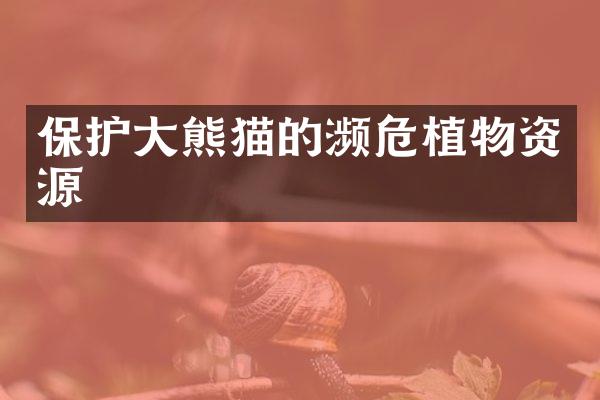 保护大熊猫的濒危植物资源