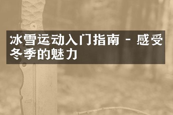 冰雪运动入门指南 - 感受冬季的魅力
