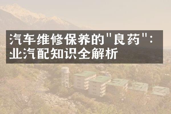 汽车维修保养的"良药"：专业汽配知识全解析