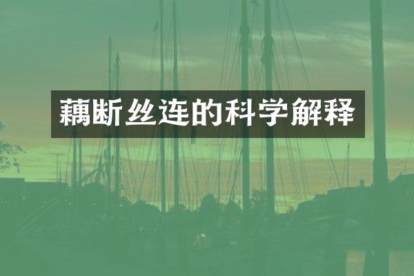 藕断丝连的科学解释