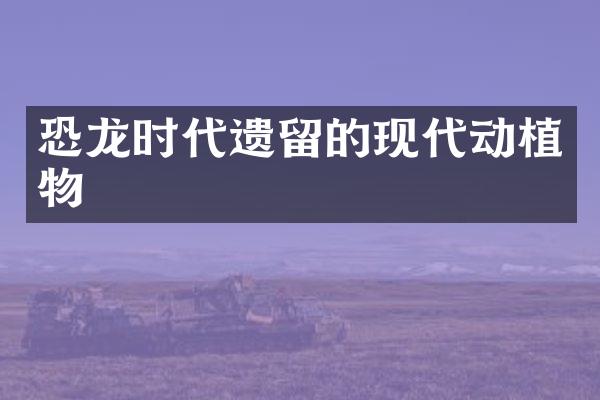 恐龙时代遗留的现代动植物