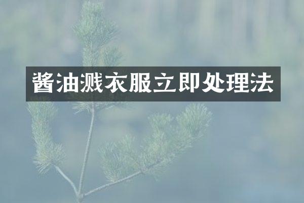 酱油溅衣服立即处理法