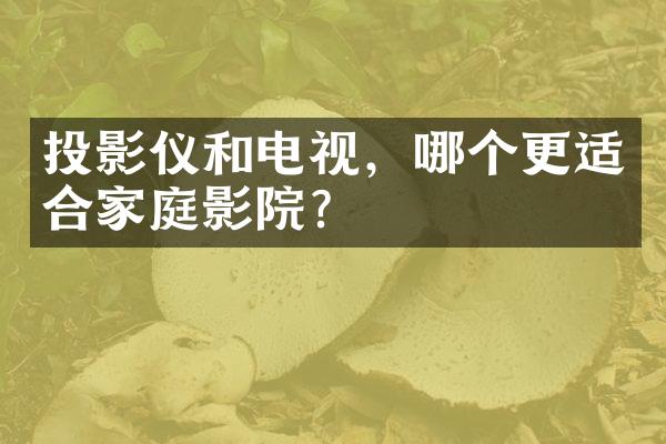 投影仪和电视，哪个更适合家庭影院？