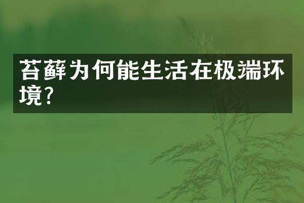苔藓为何能生活在极端环境？