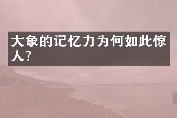 大象的记忆力为何如此惊人？