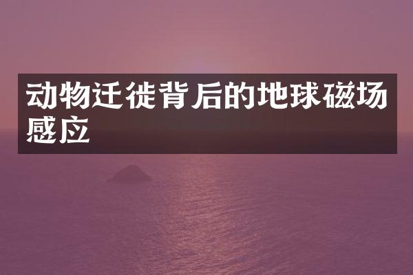动物迁徙背后的地球磁场感应