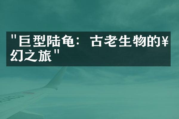 "巨型陆龟：古老生物的奇幻之旅"