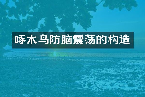 啄木鸟防脑震荡的构造