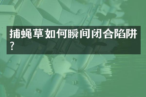 捕蝇草如何瞬间闭合陷阱？