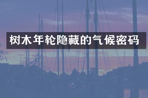 树木年轮隐藏的气候密码