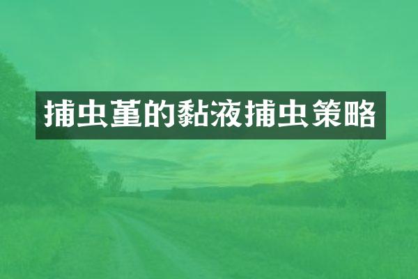 捕虫堇的黏液捕虫策略