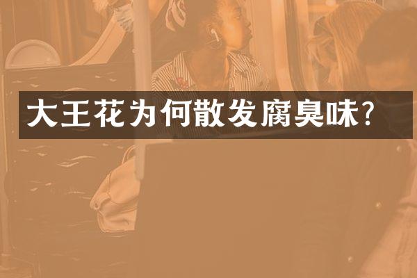 大王花为何散发腐臭味？