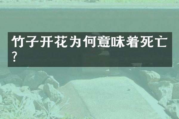 竹子开花为何意味着死亡？