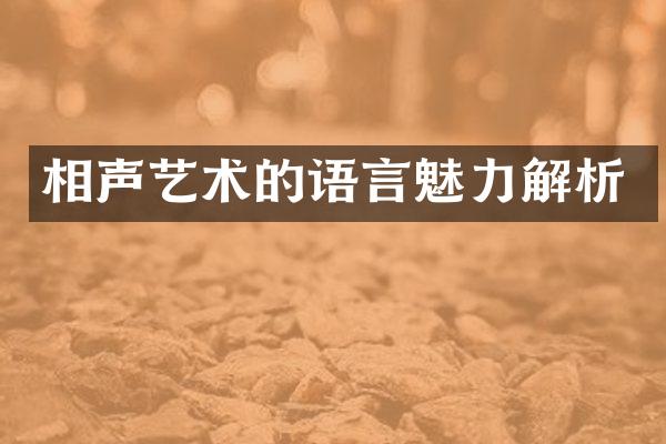 相声艺术的语言魅力解析