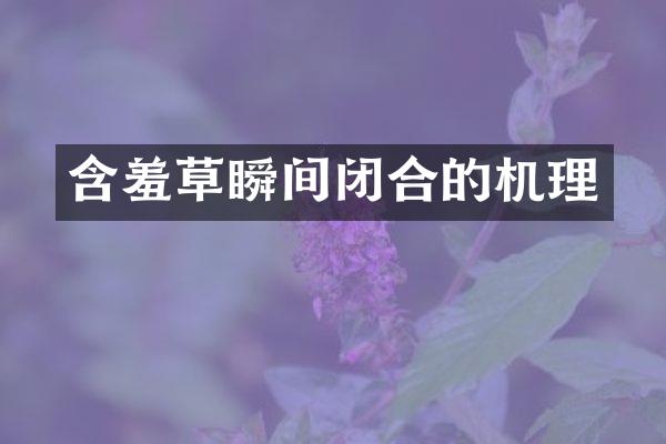 含羞草瞬间闭合的机理