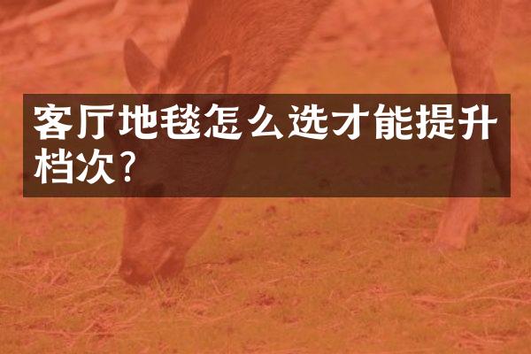 客厅地毯怎么选才能提升档次？