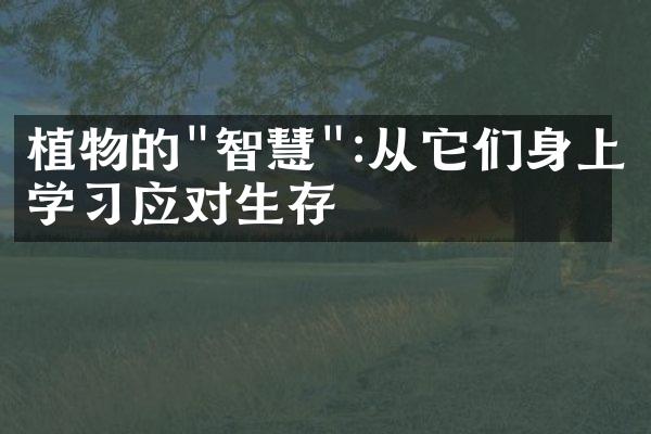 植物的"智慧":从它们身上学习应对生存