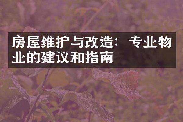房屋维护与改造：专业物业的建议和指南
