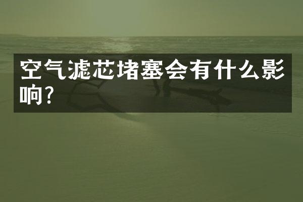 空气滤芯堵塞会有什么影响？