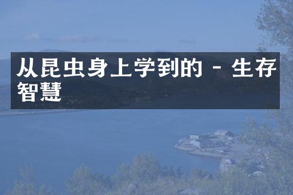 从昆虫身上学到的 - 生存智慧