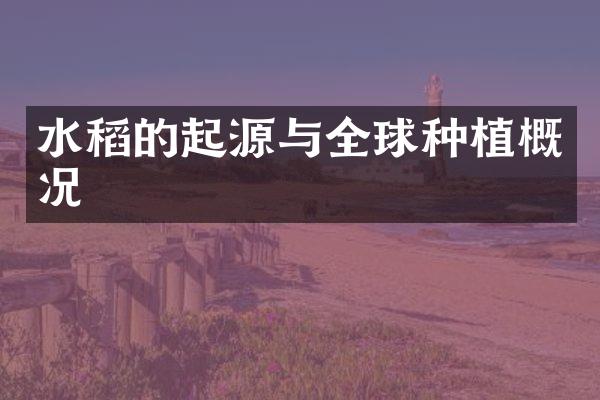 水稻的起源与全球种植概况
