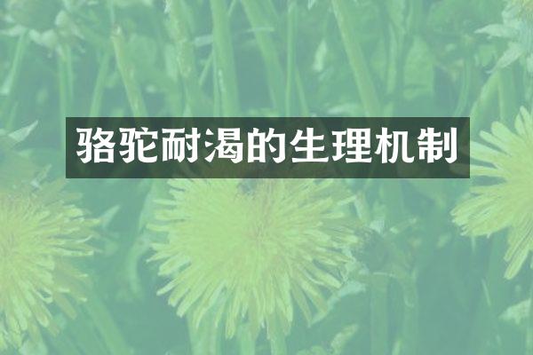骆驼耐渴的生理机制