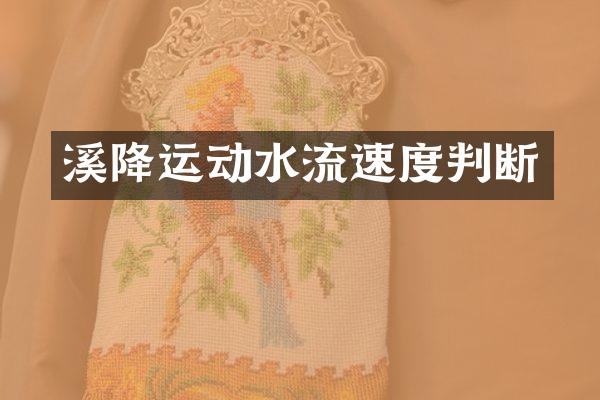 溪降运动水流速度判断