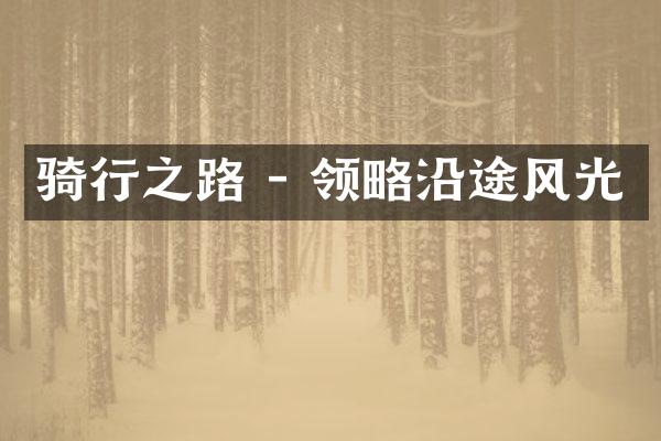 骑行之路 - 领略沿途风光
