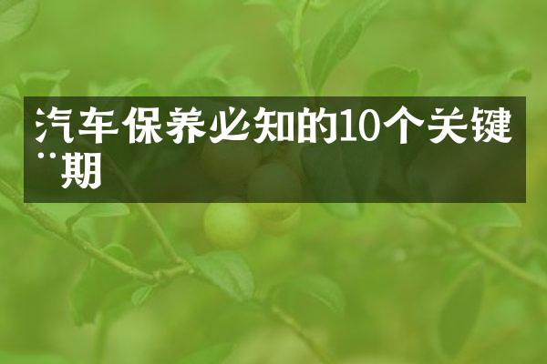 汽车保养必知的10个关键周期