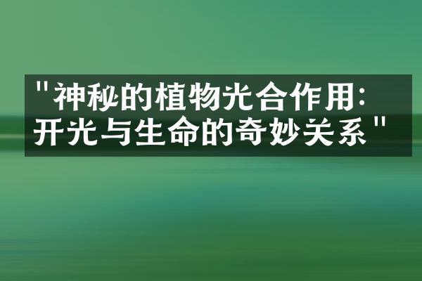 "神秘的植物光合作用：揭开光与生命的奇妙关系"