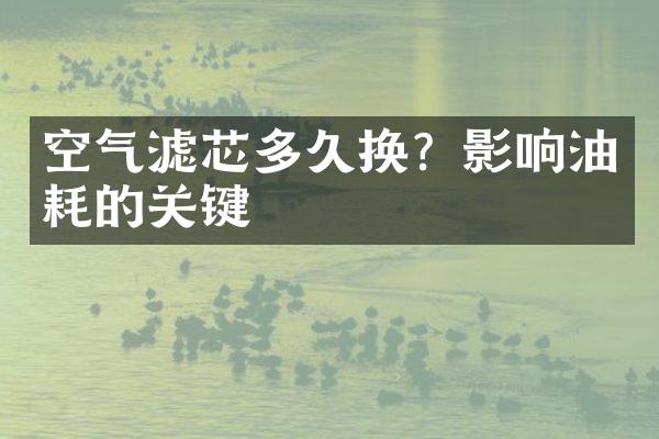 空气滤芯多久换？影响油耗的关键