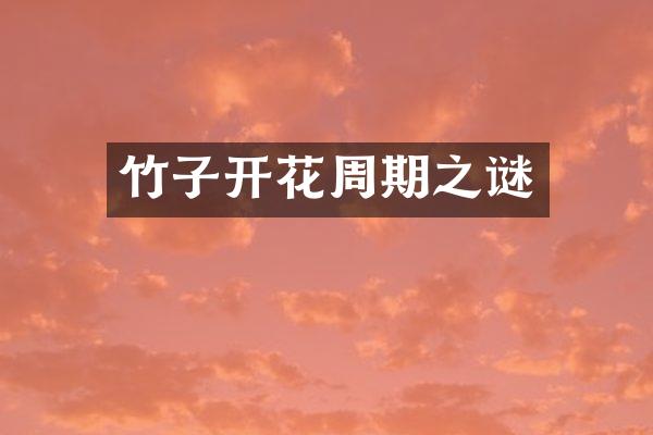 竹子开花周期之谜