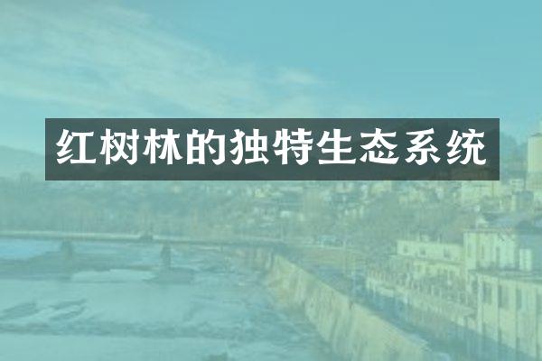 红树林的独特生态系统