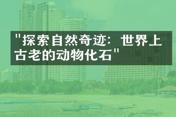 "探索自然奇迹：世界上最古老的动物化石"