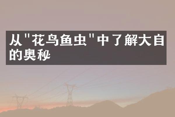 从"花鸟鱼虫"中了解大自然的奥秘